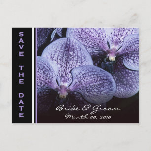 Orquídeas Roxas Salvem Cartões de Data