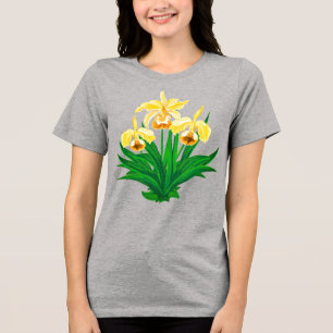 Orquídeas Selvagens - Orquídeas Amarelas Ouros e F