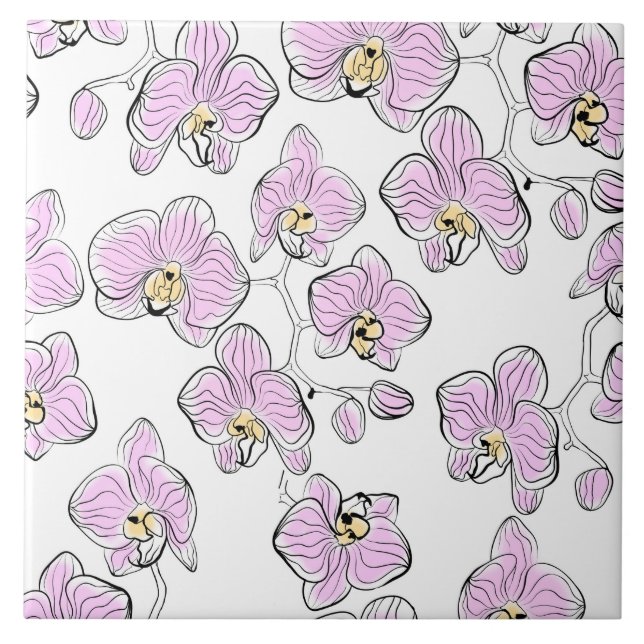 Orquídeas sem costura, orquídeas, flores de falaen (Frente)