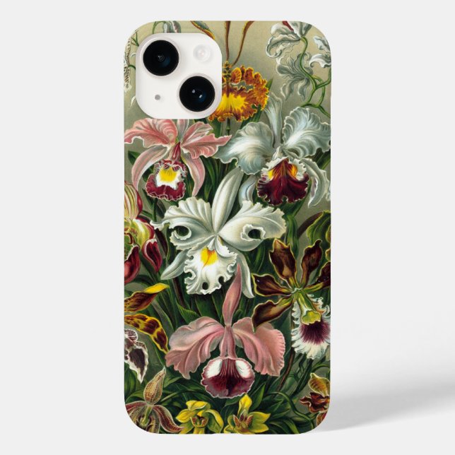 Orquídeas Vintage (Verso)