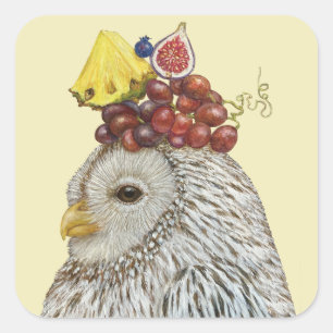 Orson os adesivos da coruja