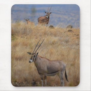 Oryx na África Mousepad