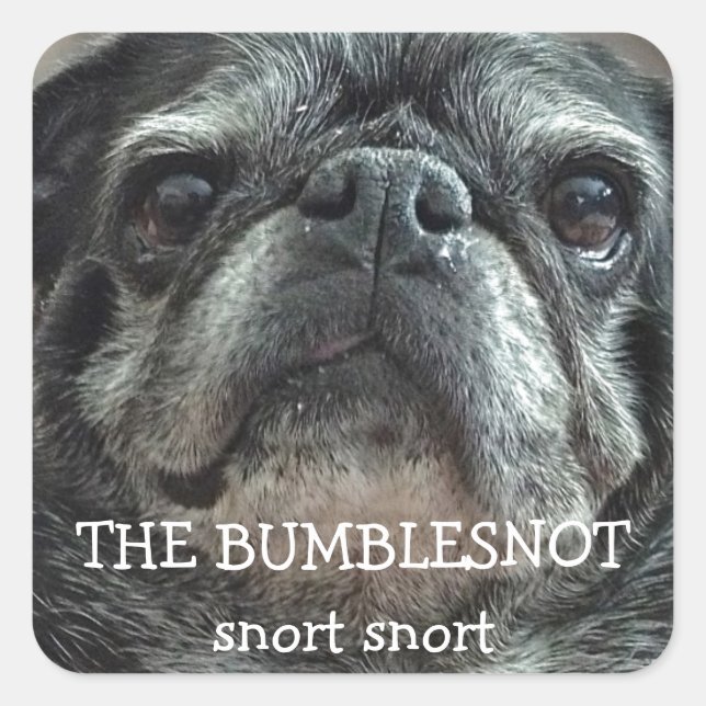 Os adesivos Bumblesnot "snort snort" (Frente)