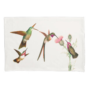 Os animais selvagens dos pássaros do colibri