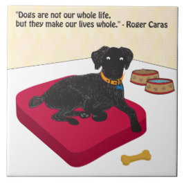 Os cães não são toda a nossa vida.