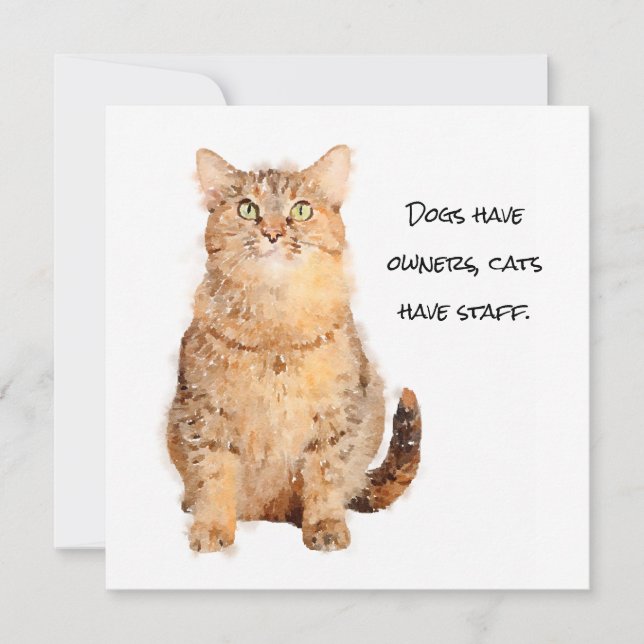 Os cães têm donos, os gatos têm cartão plano funci (Frente)