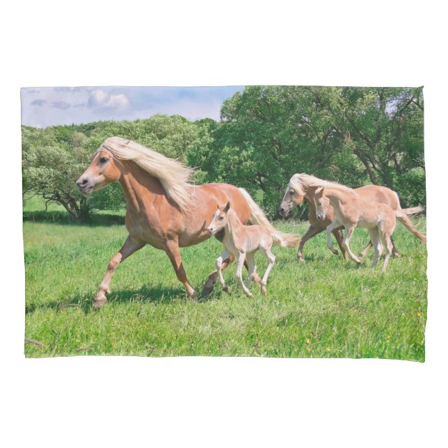 Os cavalos de Haflinger com potros bonitos (Frente)