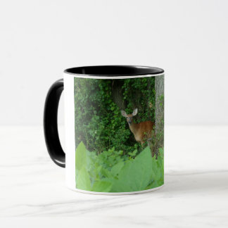 Os cervos de Whitetail dois tonificaram a caneca