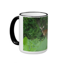 Os cervos de Whitetail dois tonificaram a caneca