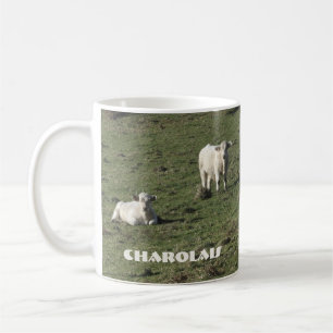 Os charolês acobardam-se e a caneca das vitelas