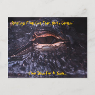 Os cumprimentos do cartão do cabo temem, a canção