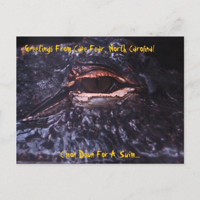 Os cumprimentos do cartão do cabo temem, a canção (Frente)