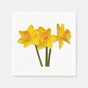 Os "Daffodils" projetam os guardanapo de papel