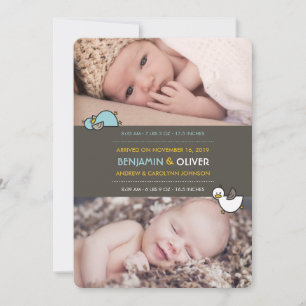 Os desenhos animados Ducks o anúncio do nasciment