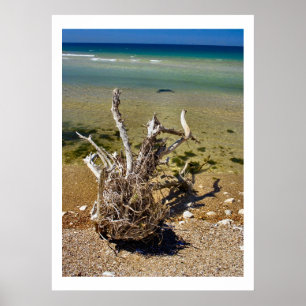 Os elementos da natureza - poster da praia da