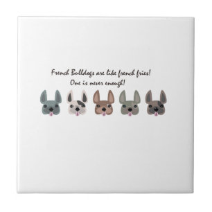 Os Frenchies são como a coleção das batatas fritas