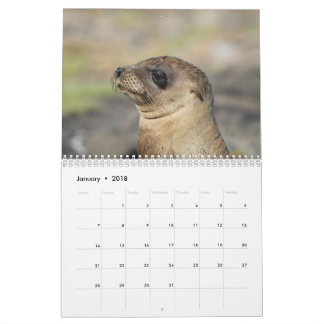 Os Galápagos - calendário de parede de 12 meses
