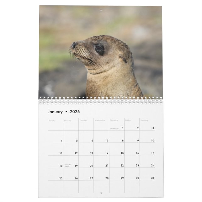 Os Galápagos - calendário de parede de 12 meses (Jan 2026)
