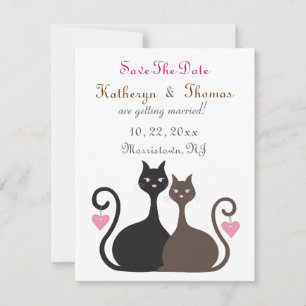 Os Gatos Do Amor Salvem A Data Do Anúncio Da Placa