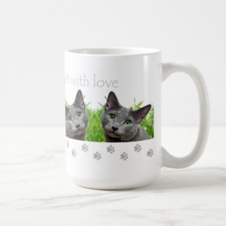 Os gatos enchem sua caneca do coração