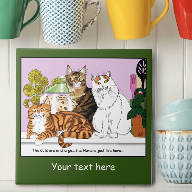 Os Gatos estão no comando (Criador carregado)