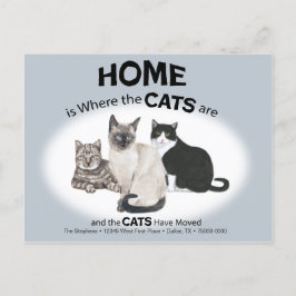Os Gatos Movimentaram O Cartão Postal