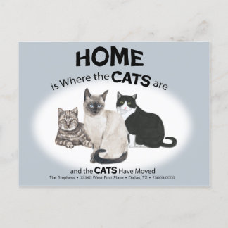 Os Gatos Movimentaram O Cartão Postal