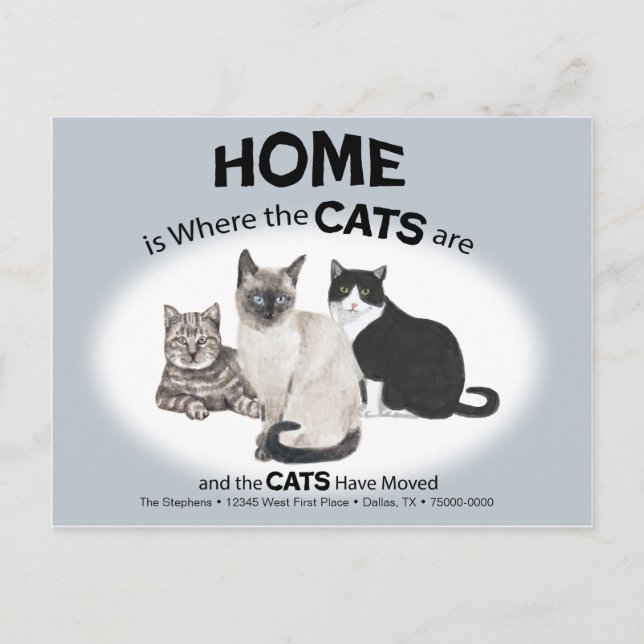 Os Gatos Movimentaram O Cartão Postal (Frente)