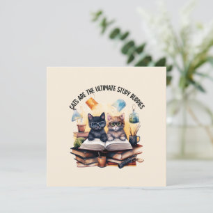 Os Gatos São Os Últimos Amigos Do Estudo