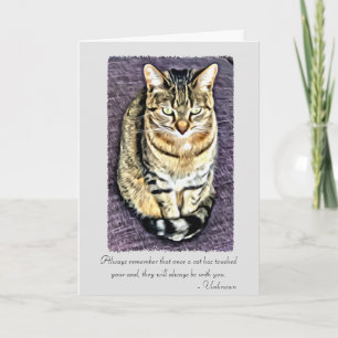 Os gatos tocaram na sua alma Cartão de condolênc