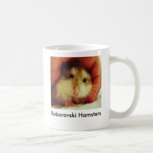 Os hamster de Roborovski dirigem a caneca