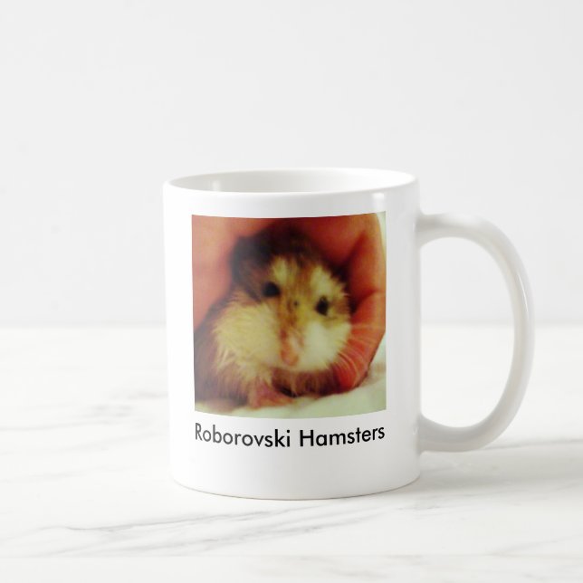Os hamster de Roborovski dirigem a caneca (Direita)