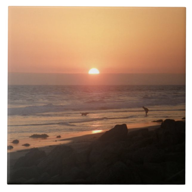 Os melhores amigos da praia (Frente)