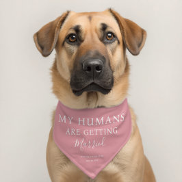 Os Meus Humanos Estão A Casar-Se Com Cachorro De C