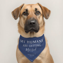 Os Meus Humanos Estão A Casar-Se Com Cachorro De C