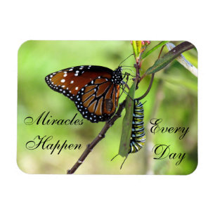 Os milagre acontecem ímã