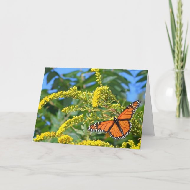 Os Monarcas - Cartão de Saudação do Vazio (Frente)