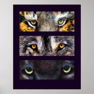 Os olhos têm-no, poster