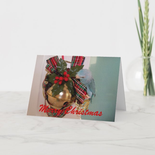 Os Parrotlets Feliz Cartão de Feliz Natal (Frente)
