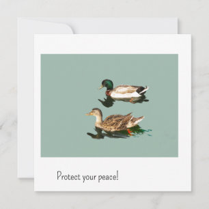 Os patos. Proteja sua paz