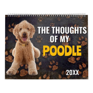 Os Pensamentos do Meu Calendário do Poodle
