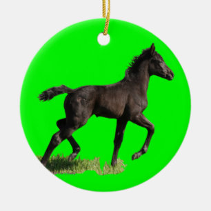 Os primeiros enfeites de natal do bebê pequeno do