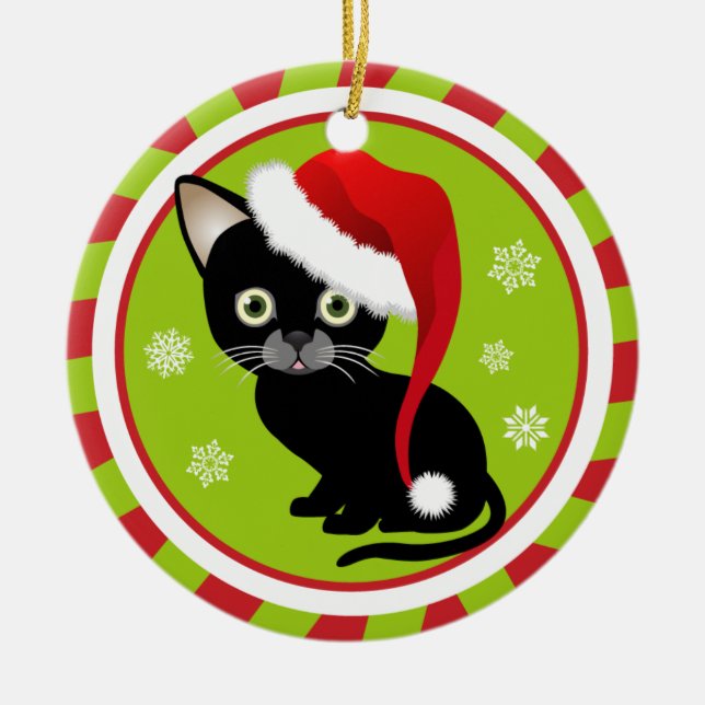 Os primeiros enfeites de natal do gatinho (Frente)