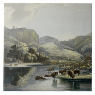 Os rebanhos do bisonte e dos alces na parte
