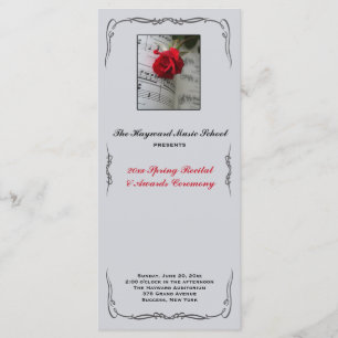 Os rosas são programa musical vermelho do