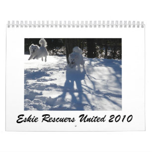 Os salvadores de Eskie uniram o calendário 2010