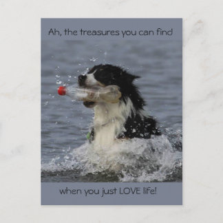 Os tesouros da vida, cartão postal