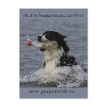 Os tesouros da vida, cartão postal