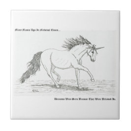 Os Unicórnios São Reais