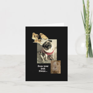 Os votos de aniversário do seu melhor cartão de am